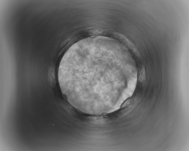 X0000100930524200807221140