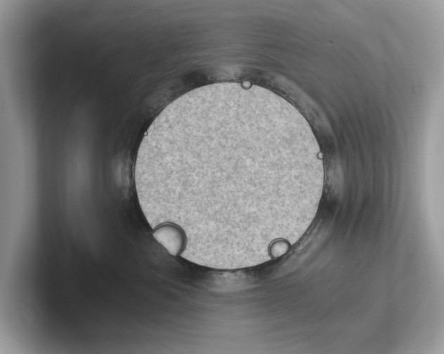 X0000100930525200807221140