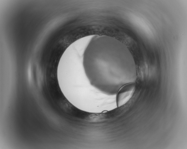 X0000100930526200807221140