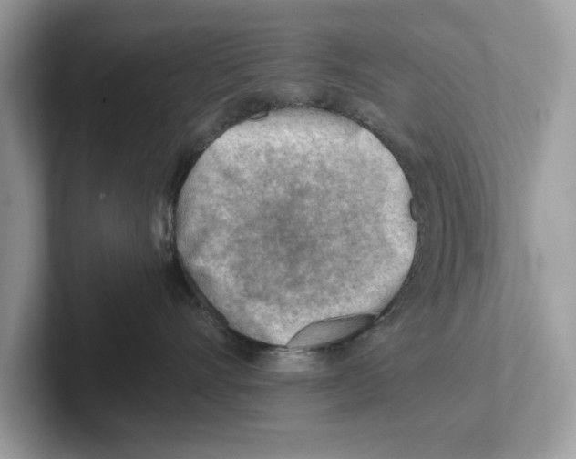 X0000100930528200807221140