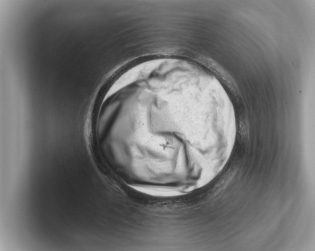 X0000100930532200807221139