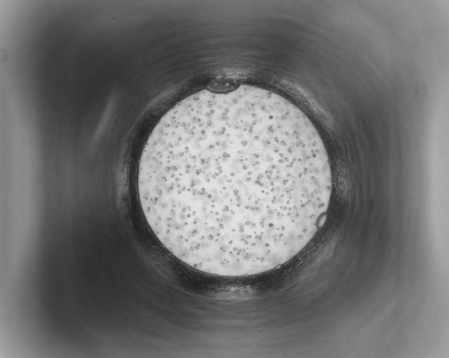X0000100930543200807221139