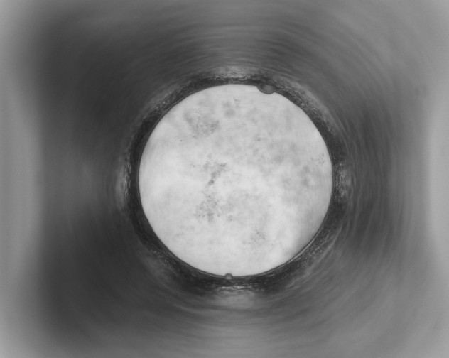 X0000100930544200807221139