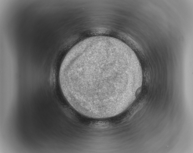 X0000100930546200807221139