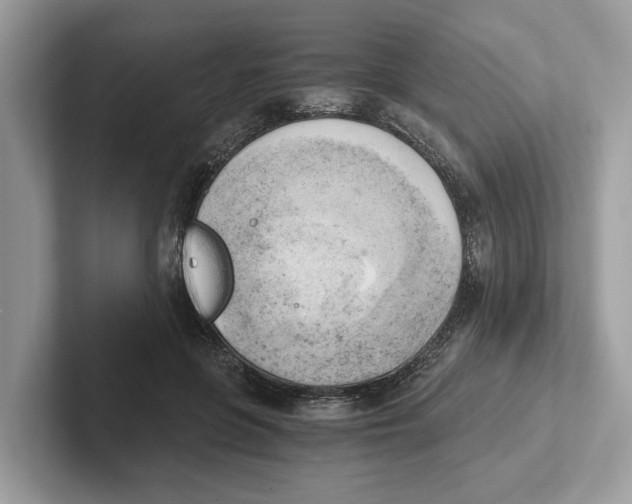 X0000100930551200807221139