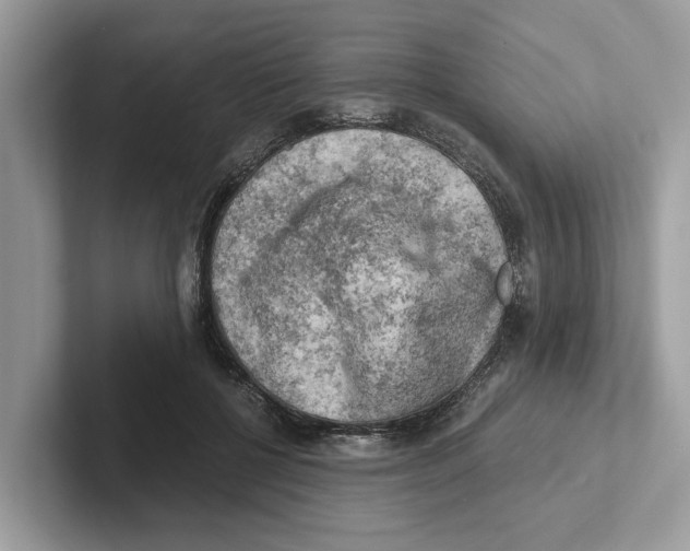 X0000100930552200807221139