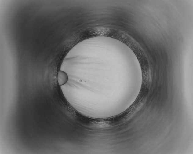 X0000100930553200807221139