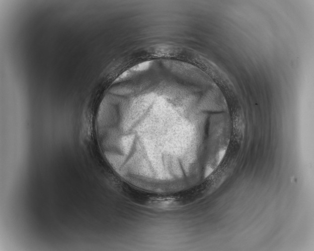 X0000100930554200807221139