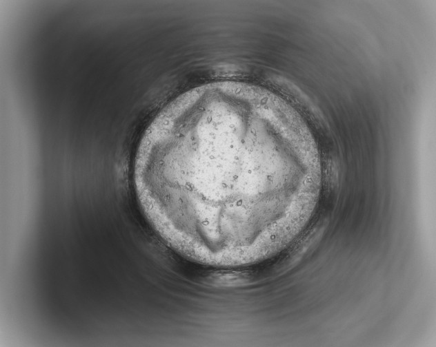 X0000100930557200807221139