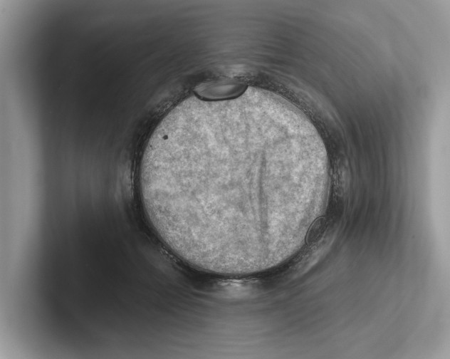 X0000100930558200807221139