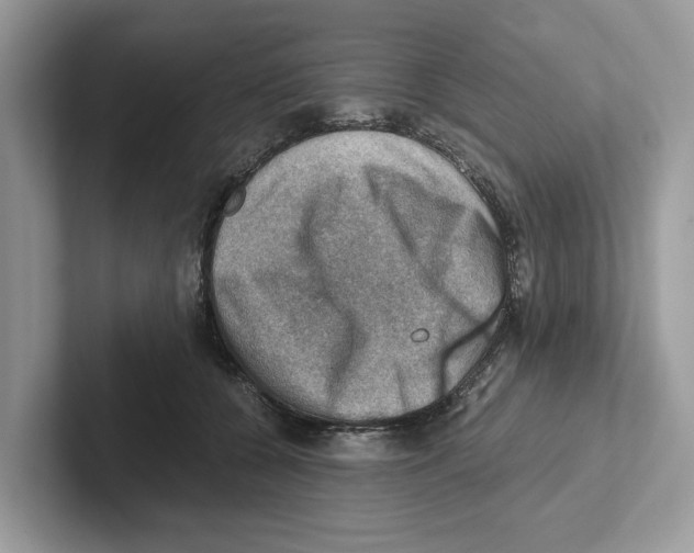 X0000100930560200807221139