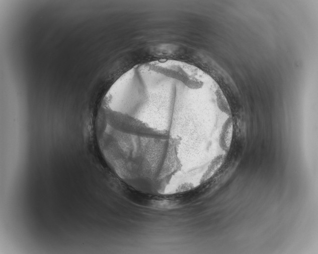 X0000100930561200807221139