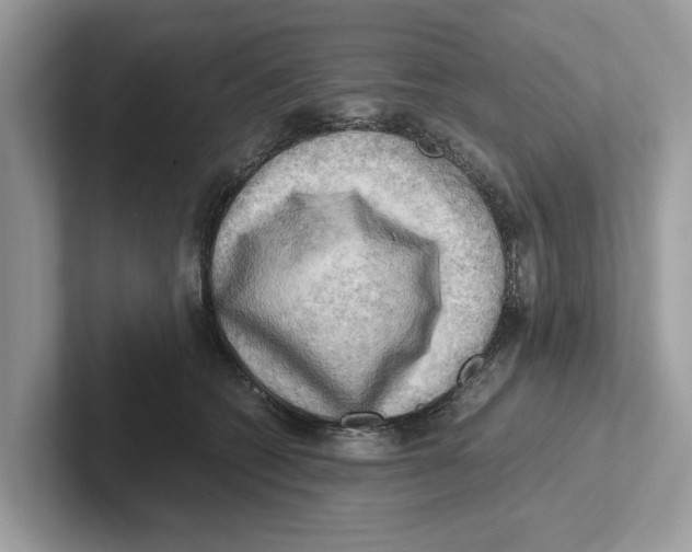 X0000100930562200807221139