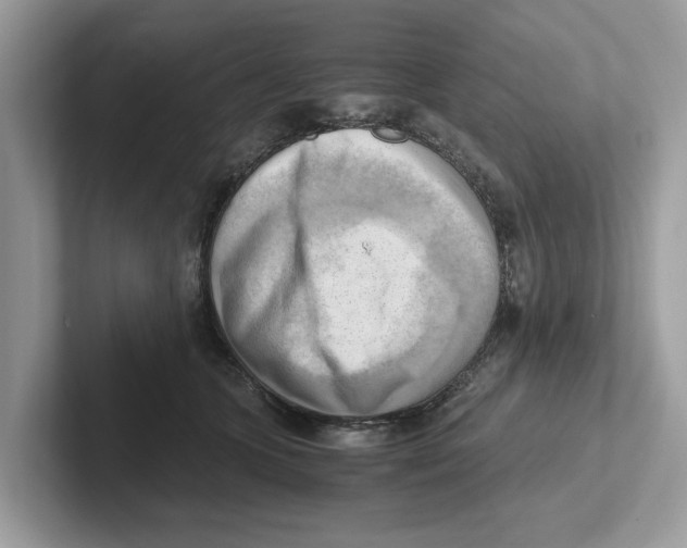 X0000100930563200807221139