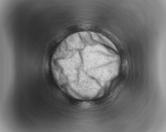 X0000100930566200807221139