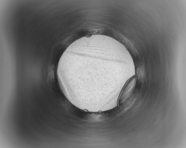 X0000100930570200807221139