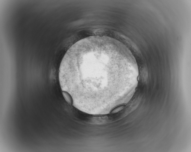 X0000100930571200807221139