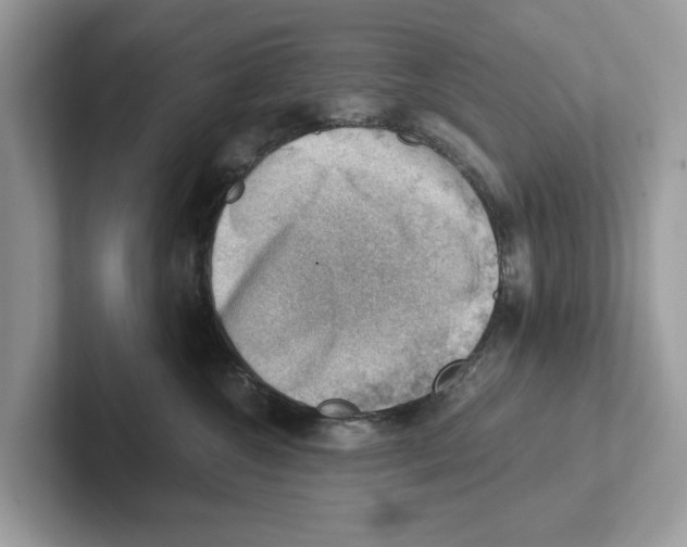 X0000100930572200807221139