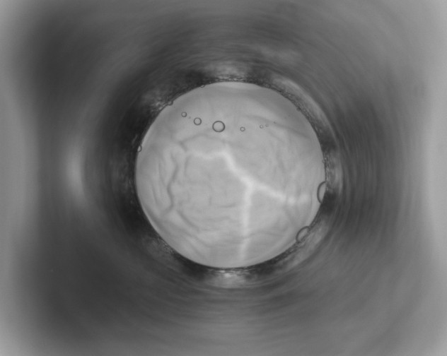 X0000100930573200807221139