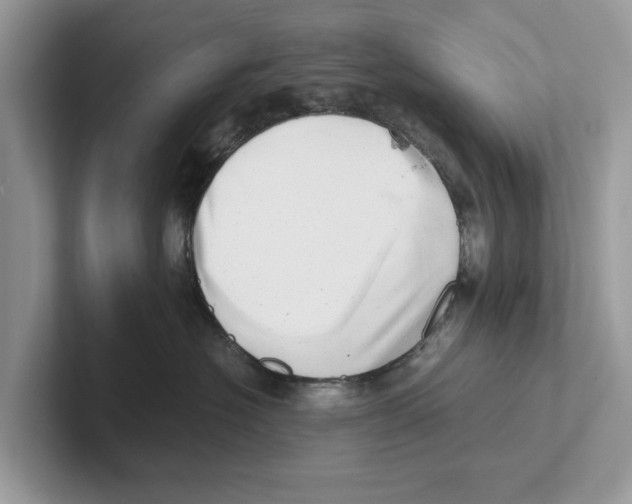 X0000100930574200807221139