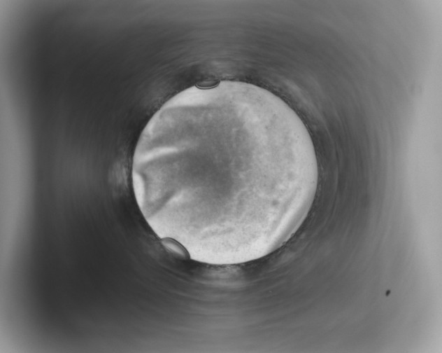 X0000100930576200807221140