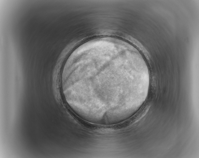 X0000100930577200807221139