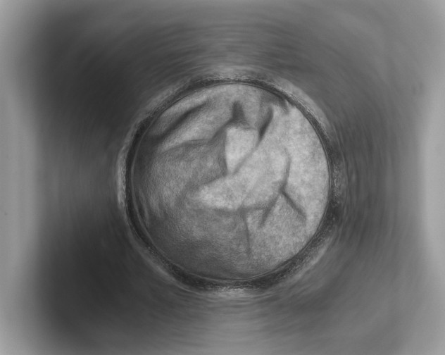 X0000100930581200807221139