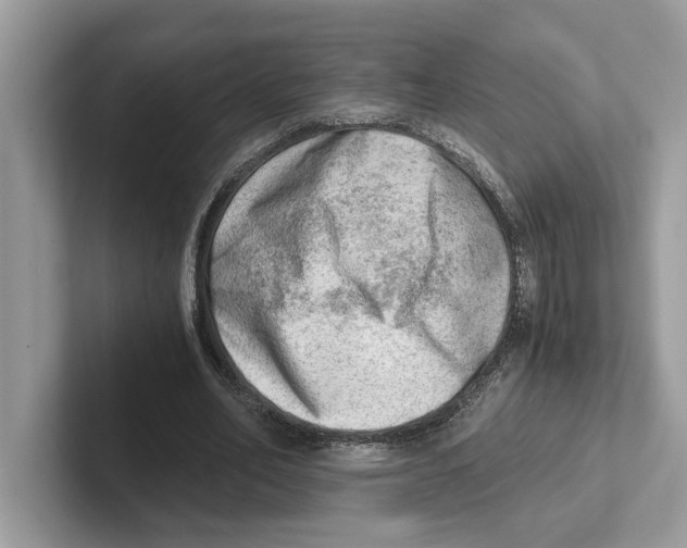 X0000100930582200807221139