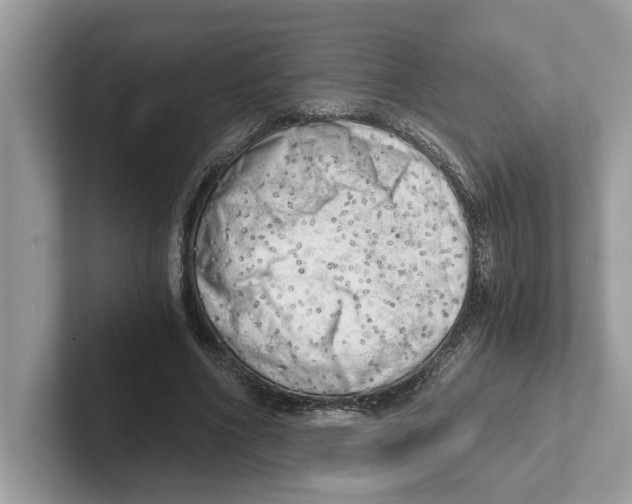 X0000100930586200807221139