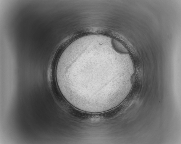 X0000100930587200807221139