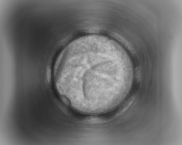 X0000100930589200807221139