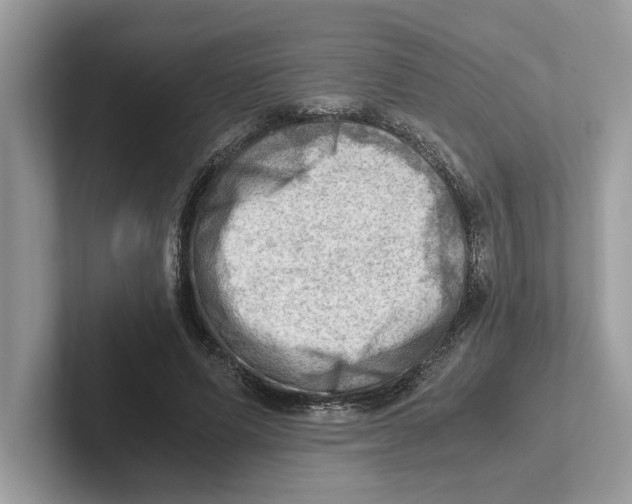 X0000100930591200807221139