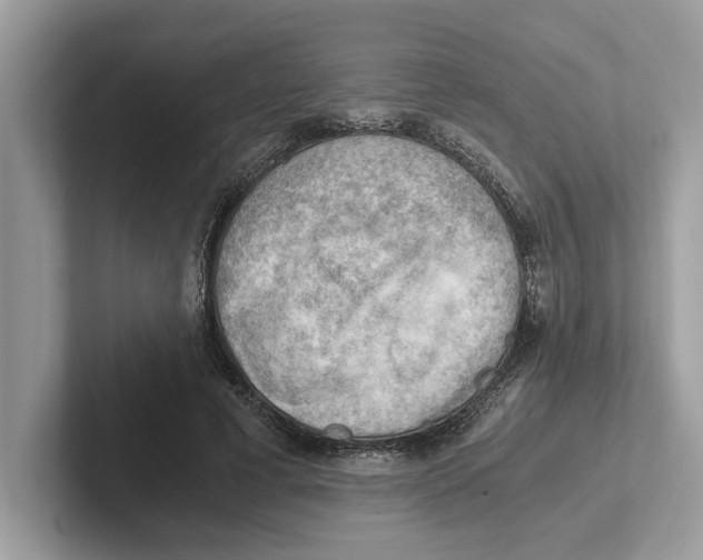 X0000100930593200807221139