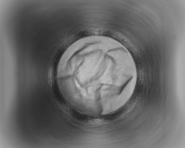 X0000100930594200807221139