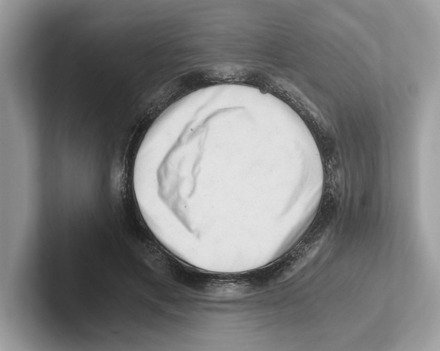 X0000100930597200807221139