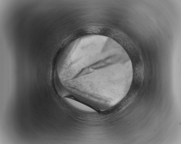 X0000100930600200807221139