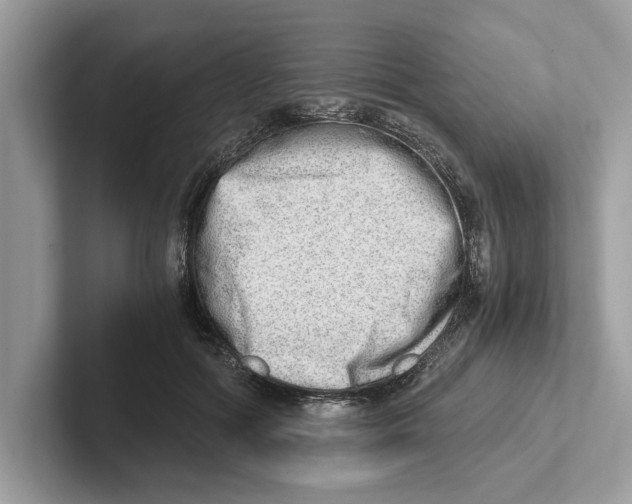 X0000100930602200807221139