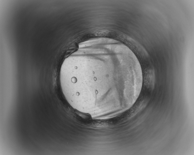 X0000100930604200807221139