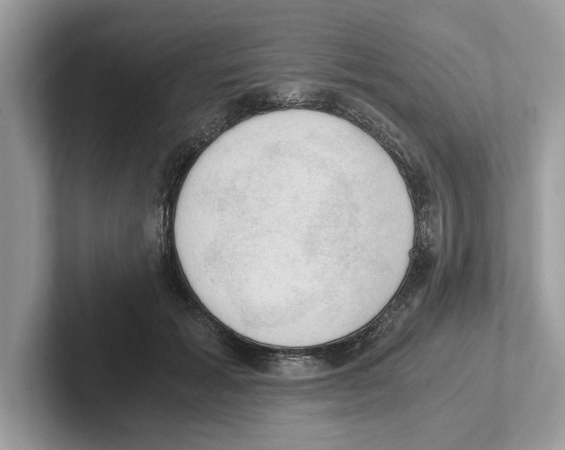 X0000100930605200807221138