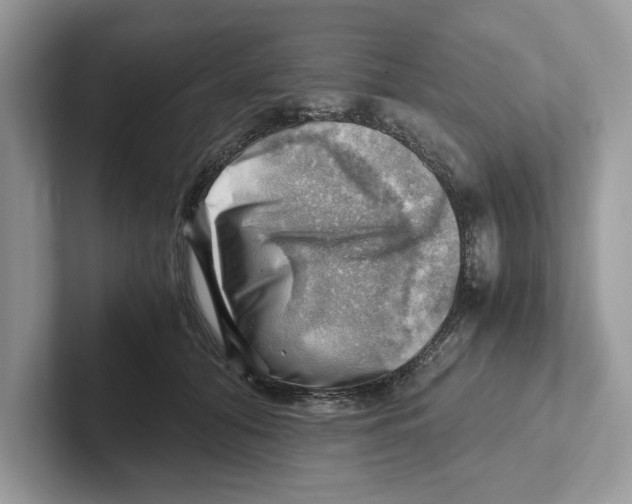 X0000100930608200807221138