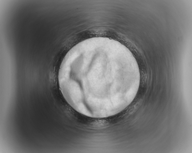 X0000100930609200807221138