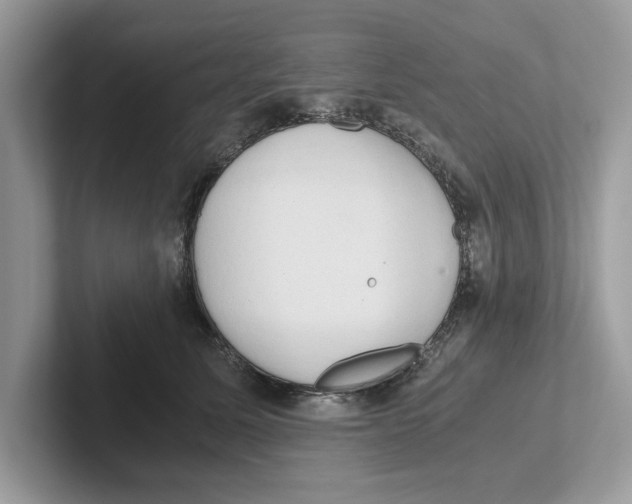 X0000100930611200807221138