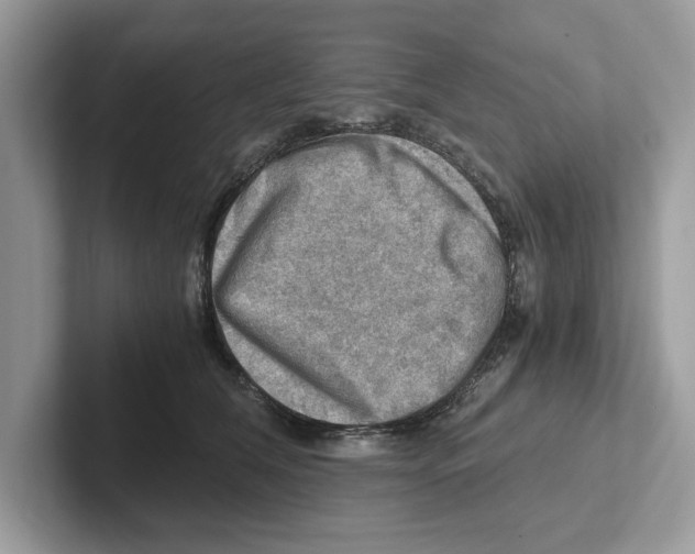 X0000100930612200807221138