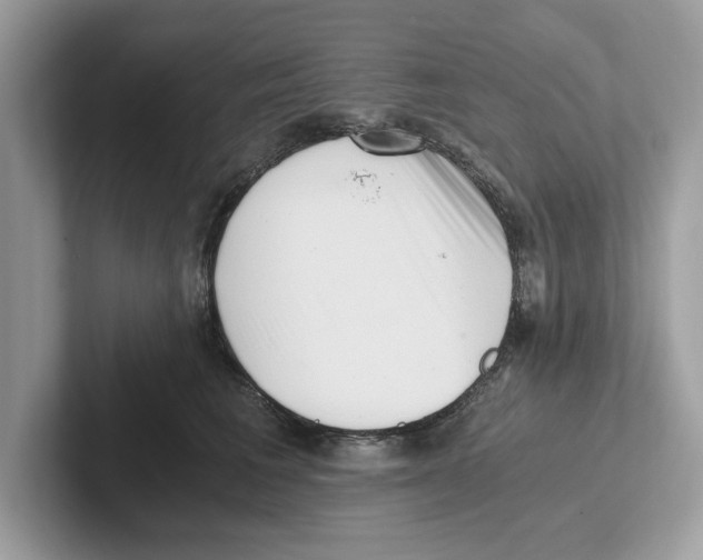 X0000100930613200807221138