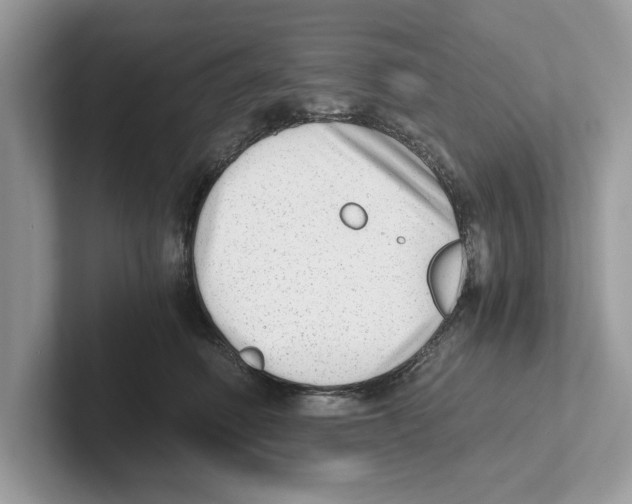 X0000100930614200807221138