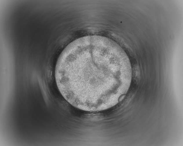 X0000100930615200807221138