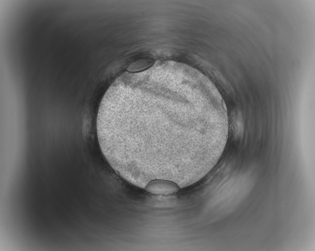 X0000100930619200807221138