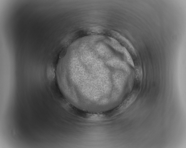 X0000100930621200807221138