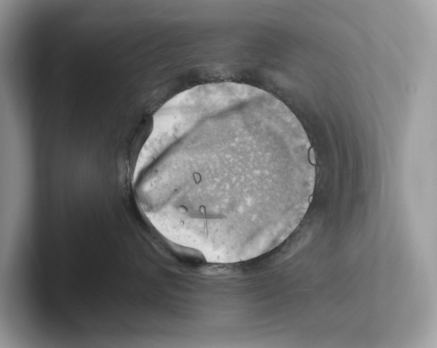 X0000100930624200807221138