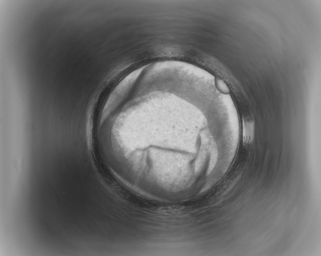 X0000100930627200807221138